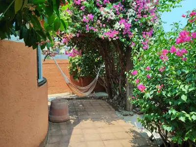 Jardín al aire libre en Casa Azul