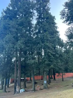 Paisaje cerca de esta casa o chalet